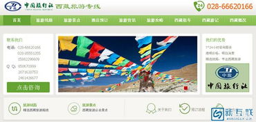 成都专业网站建设与网络推广 如何选择最适合您的服务商