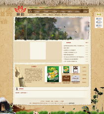 益阳神韵槟榔 食品餐饮行业定制型网站建设案例解析