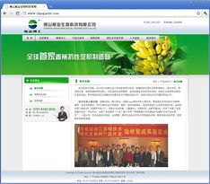 佛山市凤软网络 一站式网站建设与网络推广解决方案