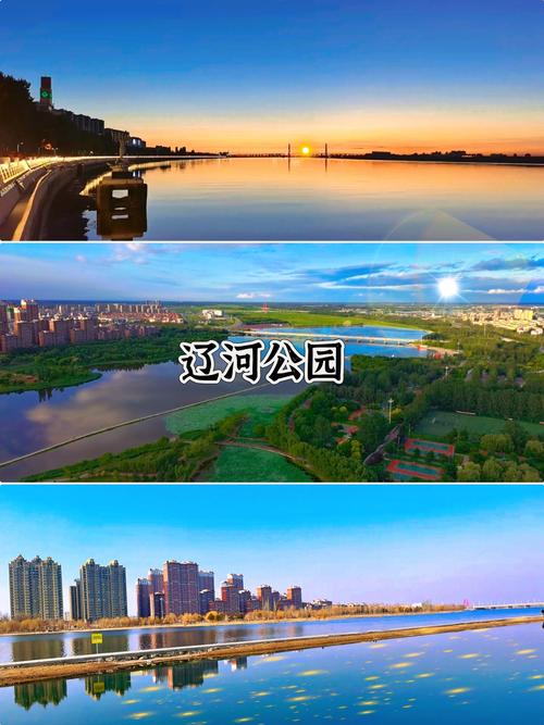 营口旅游网站建设指南与自贸区管委会概况