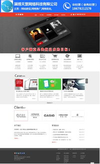 博山网站建设首选天罡网络 专业制作与推广一体服务